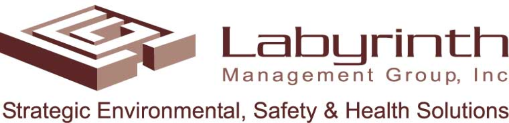 Labyrinth Management Group